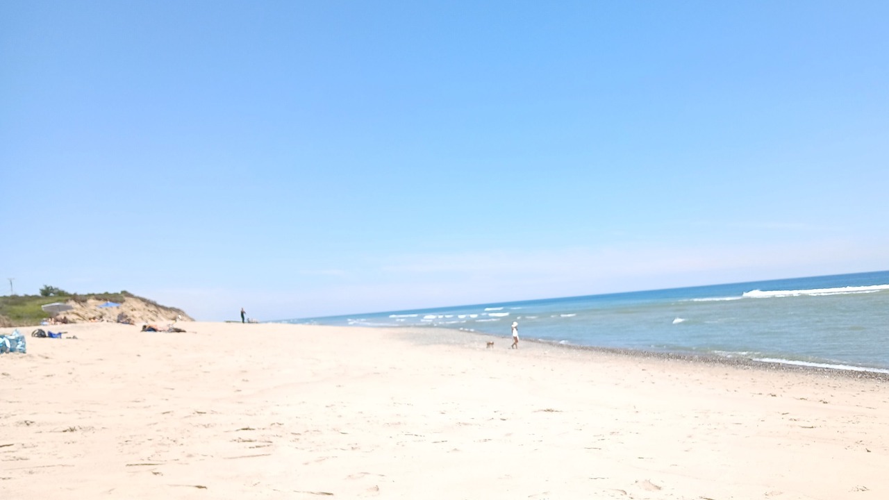 Photo of Others in Eastham