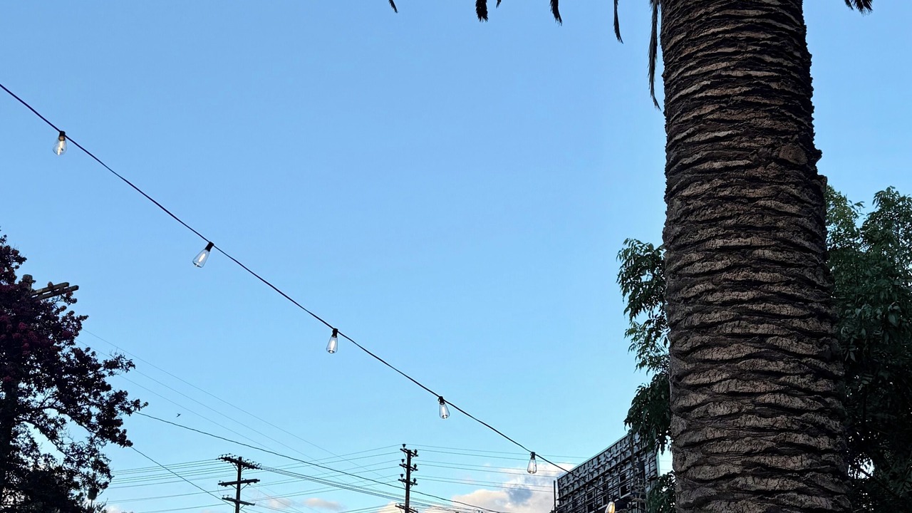 Photo of Others in Toluca Lake