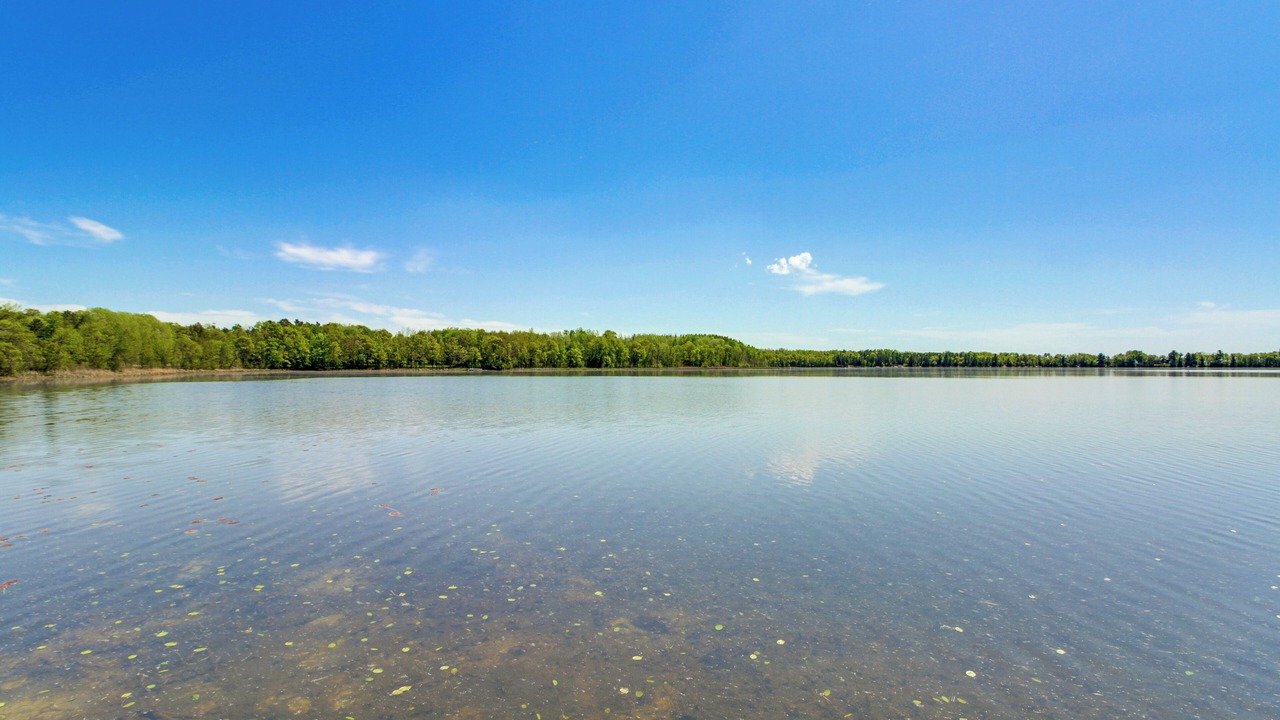 Photo of Others in Ossipee