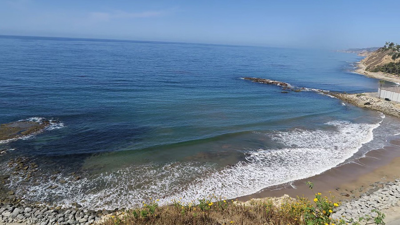 Photo of Others in Coastal San Pedro