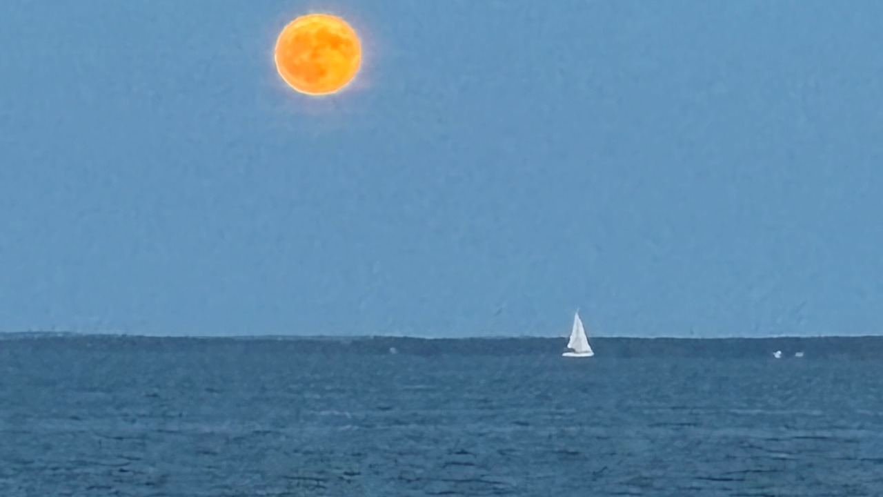 Photo of Others in Dartmouth