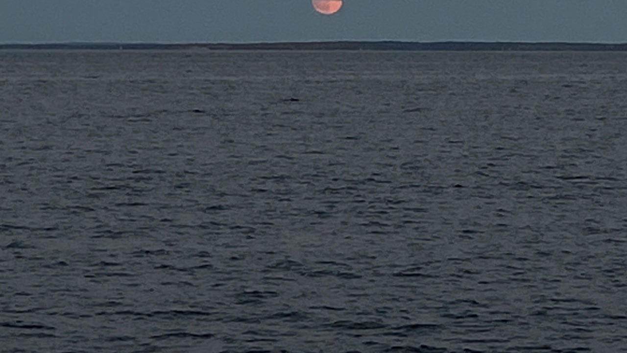 Photo of Others in Dartmouth