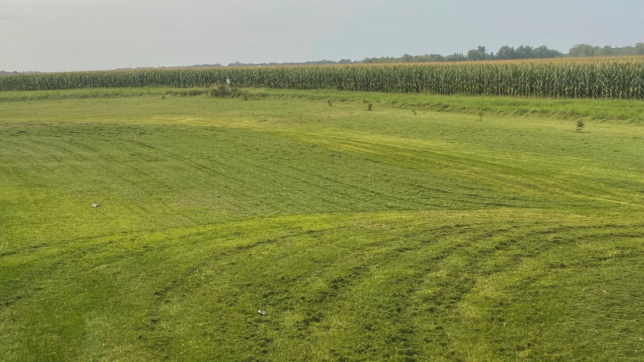 Photo of Others in Long Prairie