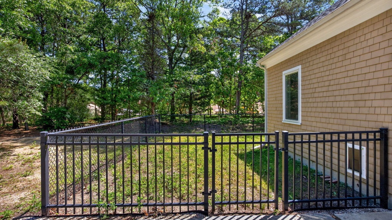 Photo of Outdoor in East Falmouth