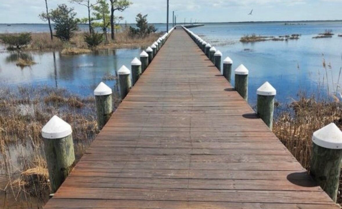 Photo of Others in Assateague Pointe