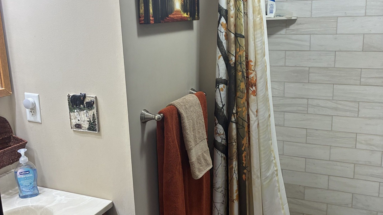 Photo of Bathroom in South Haven