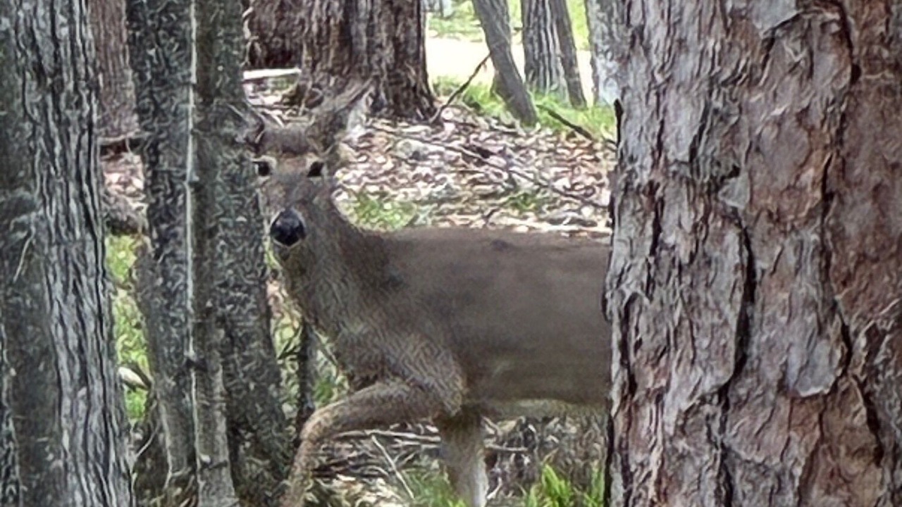 Photo of Others in Crosslake