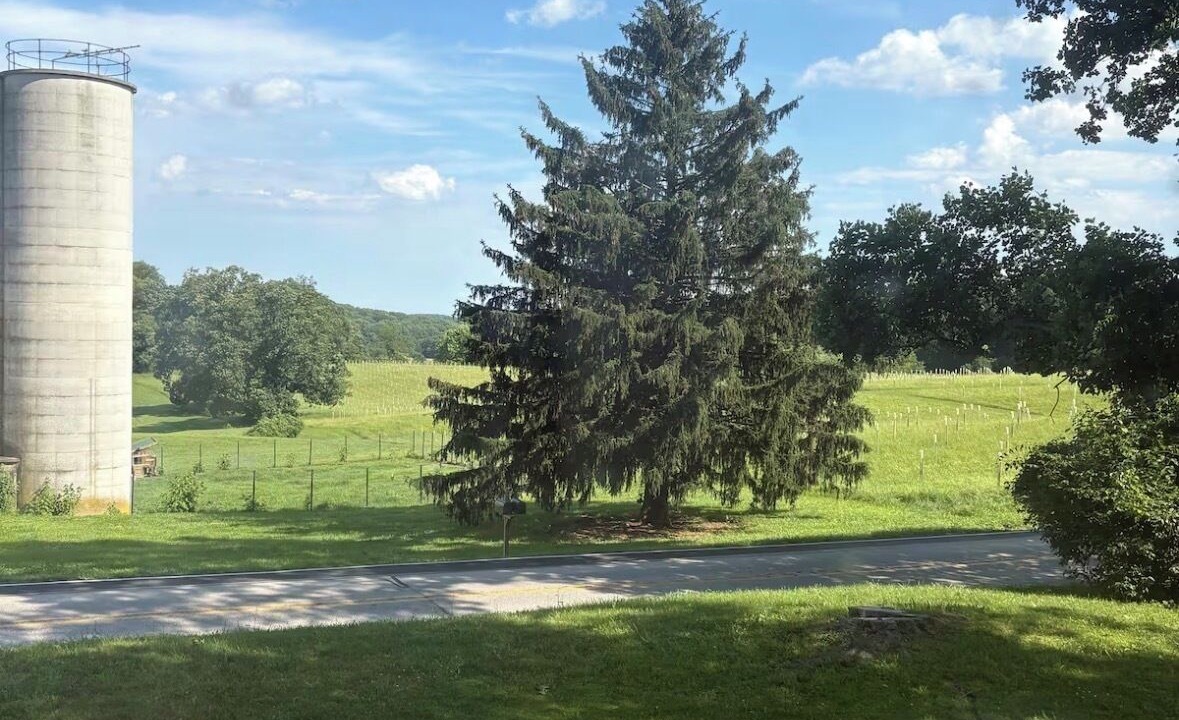 Photo of Others in Kemblesville
