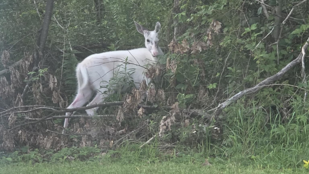 Photo of Others in Holcombe