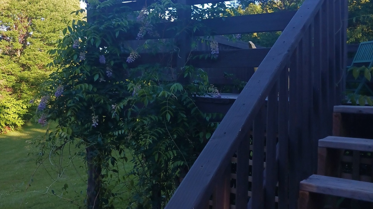 Photo of Outdoor in Holcombe