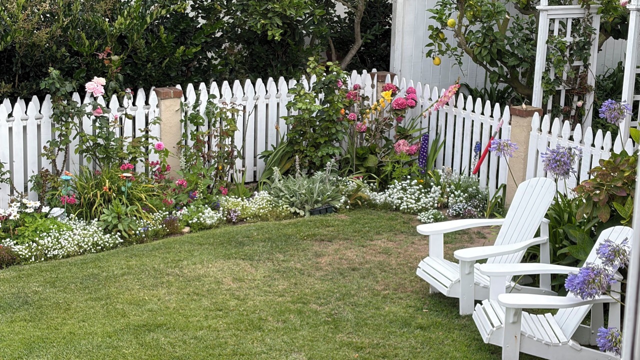 Photo of Outdoor in Redondo Beach
