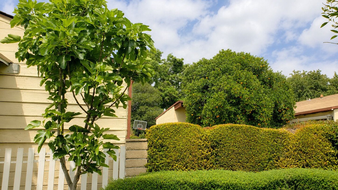 Photo of Outdoor in Los Angeles