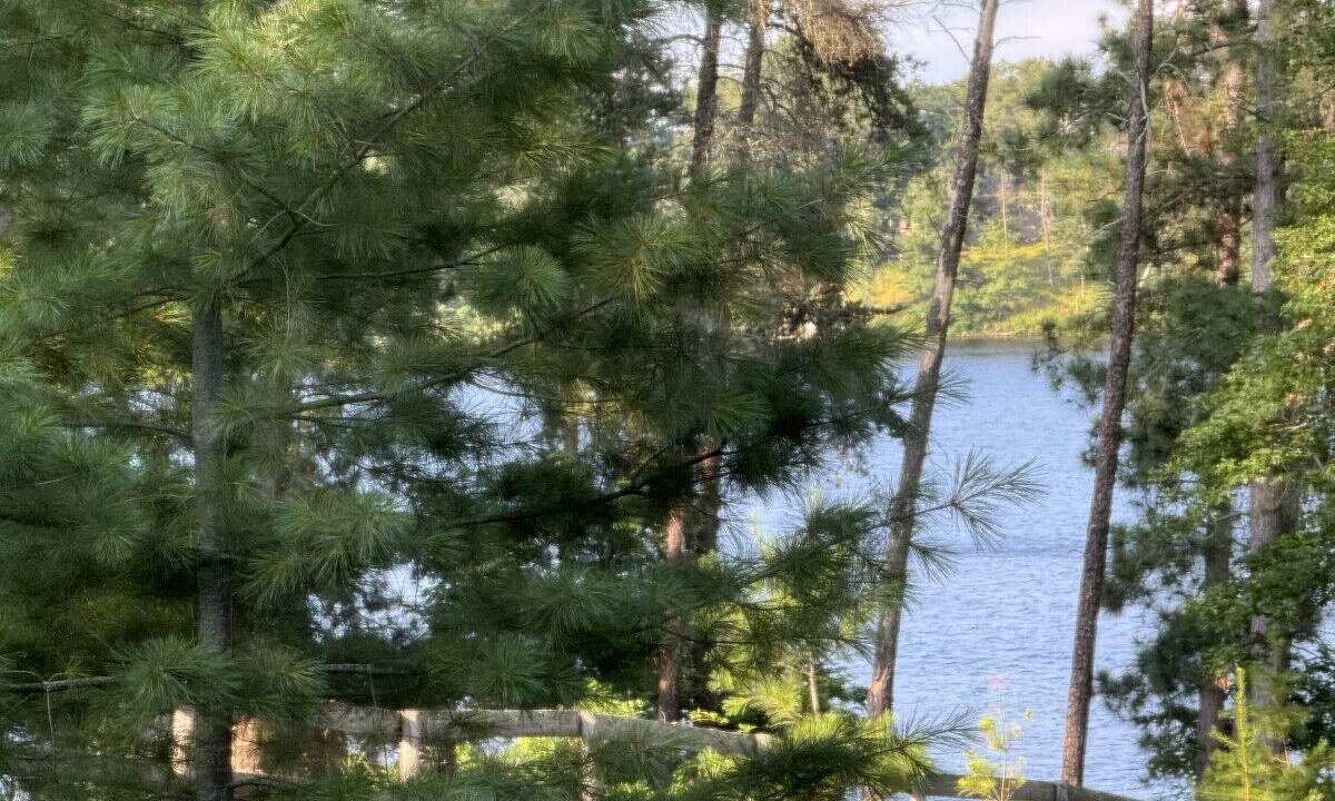 Photo of Outdoor in Markville