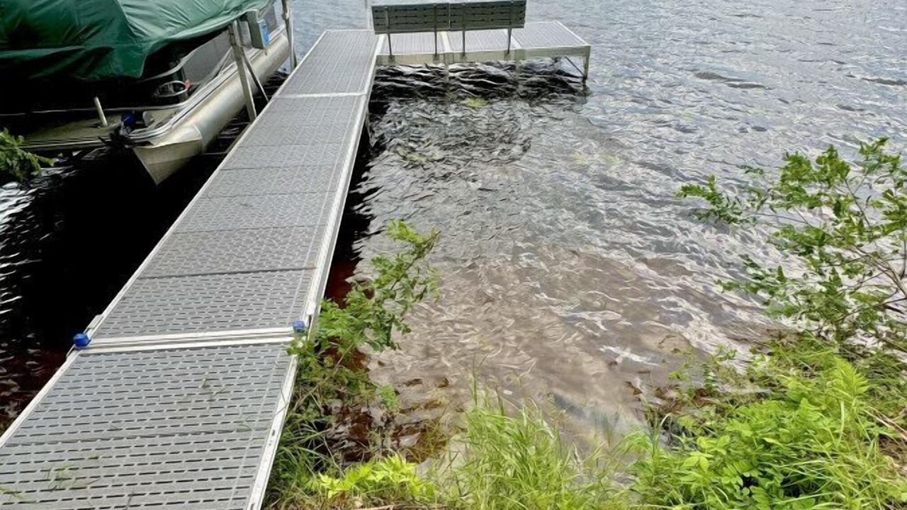 Photo of Outdoor in Markville