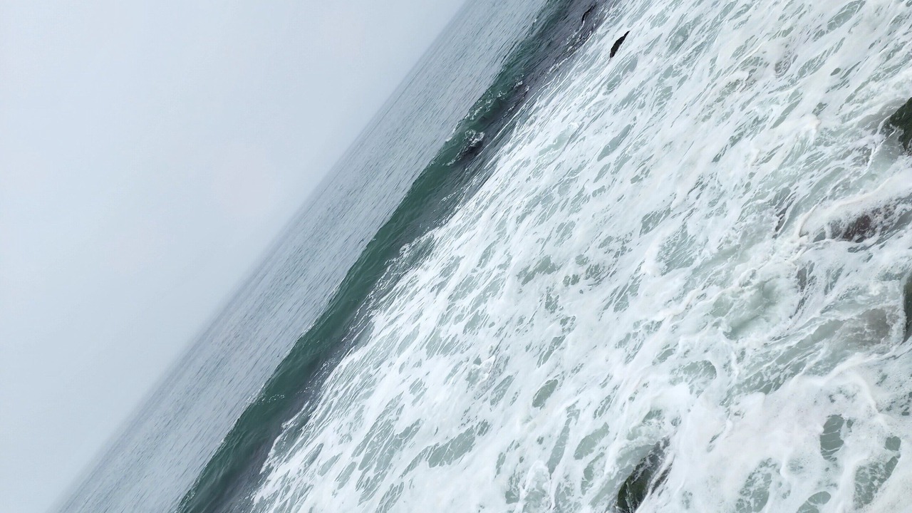 Photo of Others in Oxnard