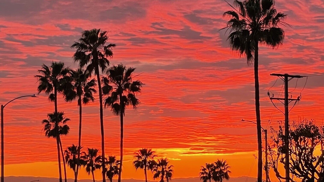 Photo of Others in Santa Ana Heights