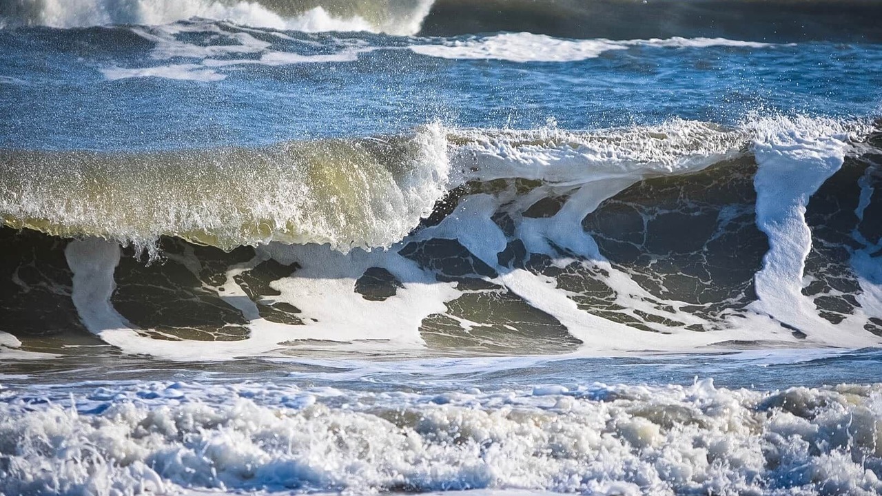 Photo of Others in Chincoteague