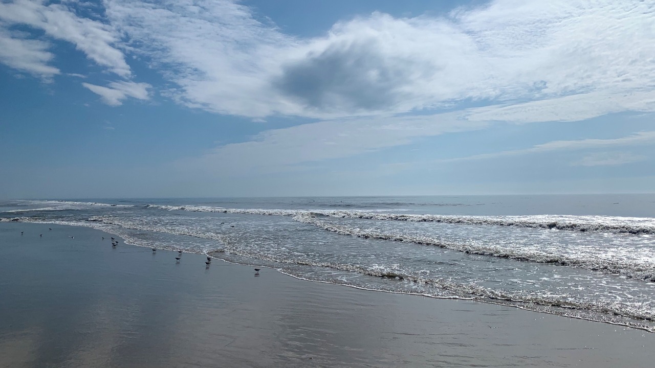 Photo of Others in Chincoteague