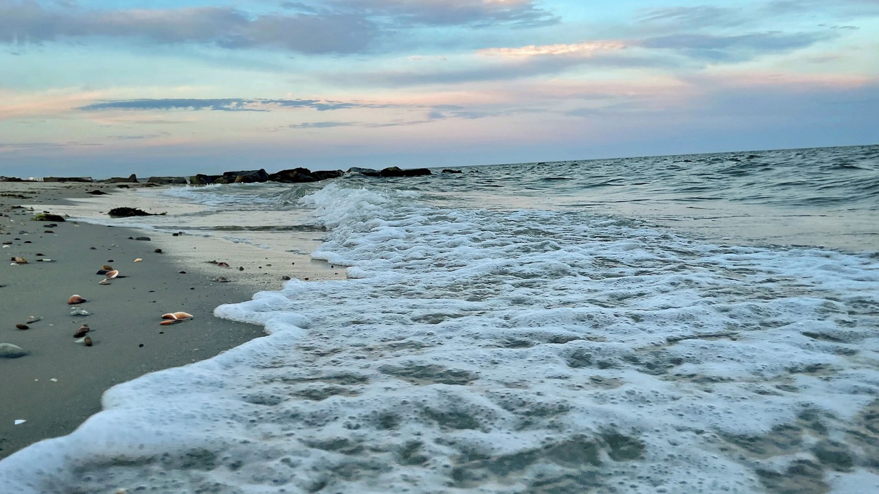 Photo of Others in South Yarmouth