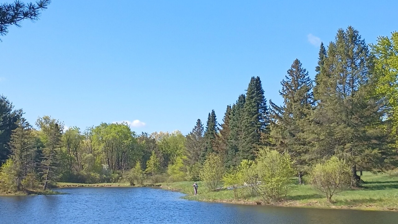 Photo of Outdoor in Lyndon Station