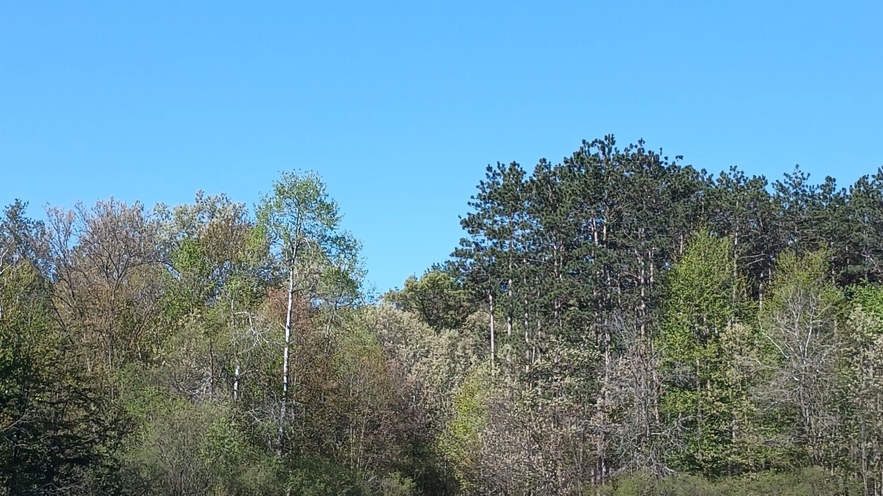 Photo of Outdoor in Lyndon Station