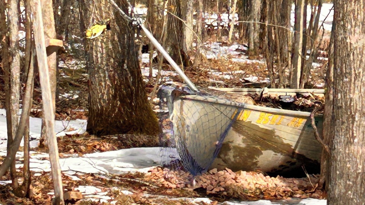 Photo of Others in Webster