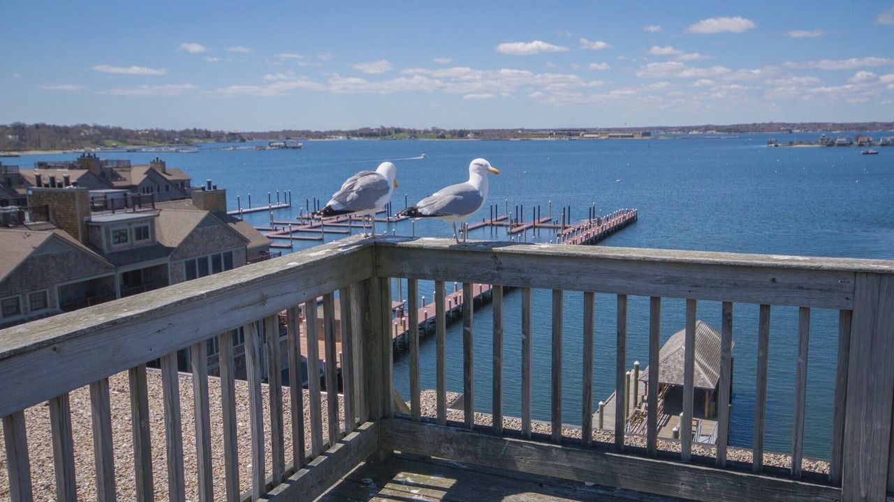 Photo of Outdoor in Yachting Village