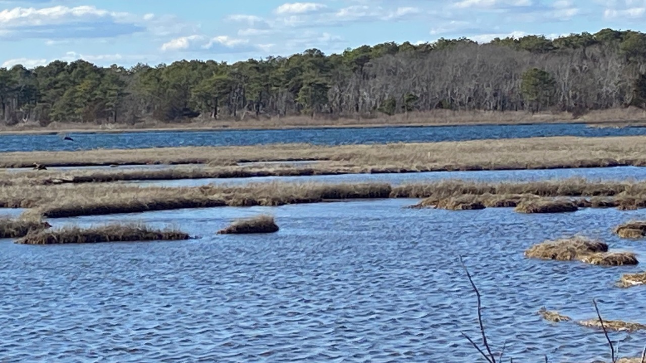 Photo of Others in Mashpee
