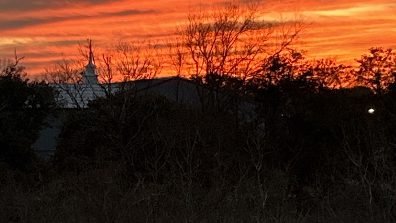 Photo of Outdoor in Pass Christian