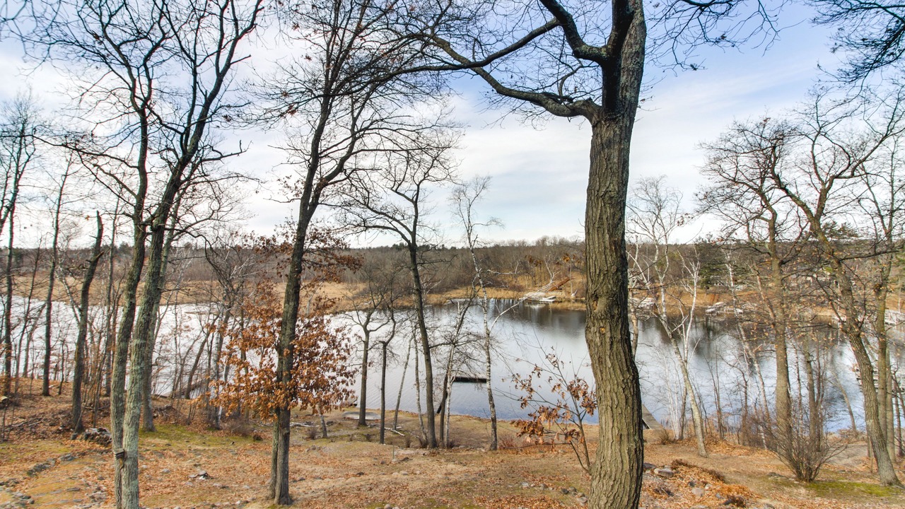 Photo of Outdoor in Lake Shore