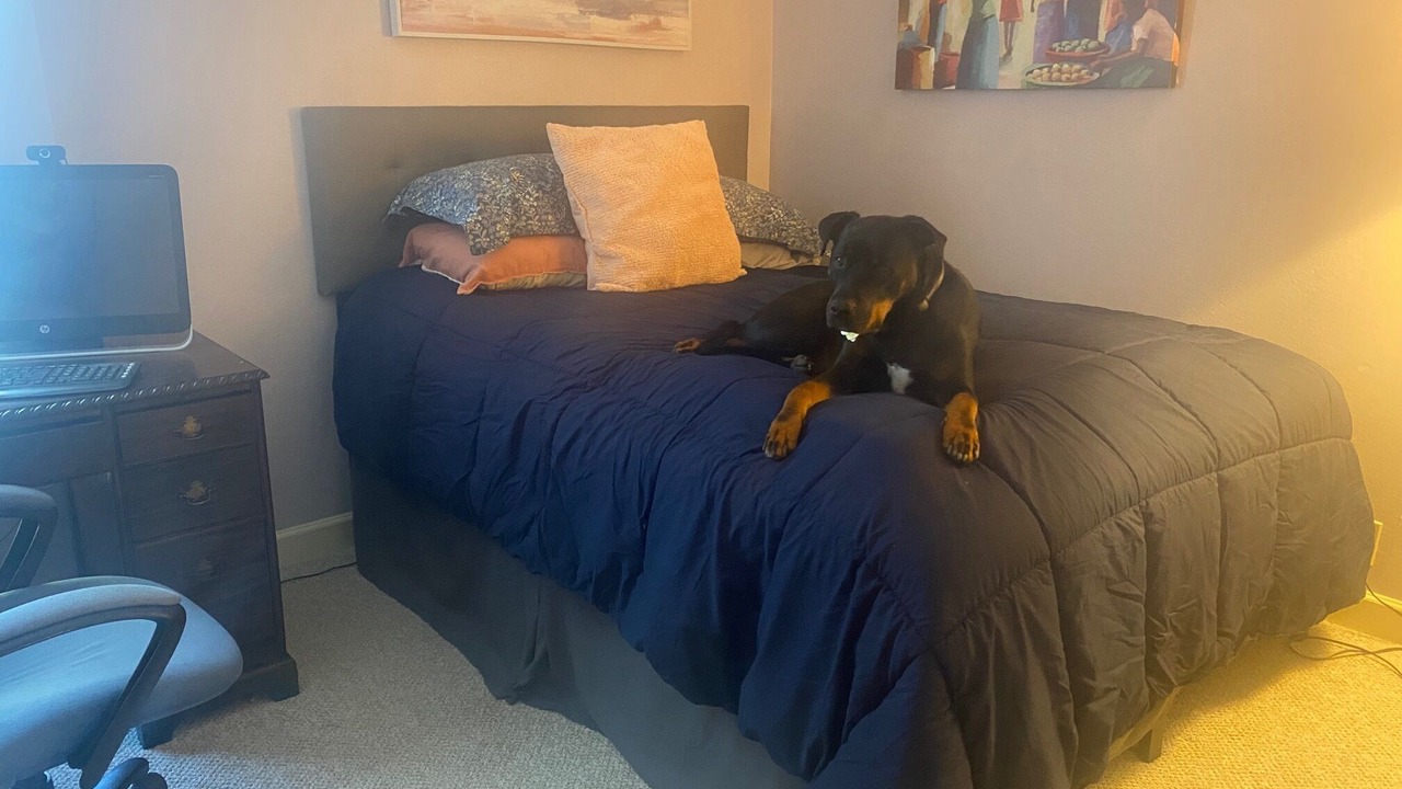 Photo of Bedroom in Meiners Oaks
