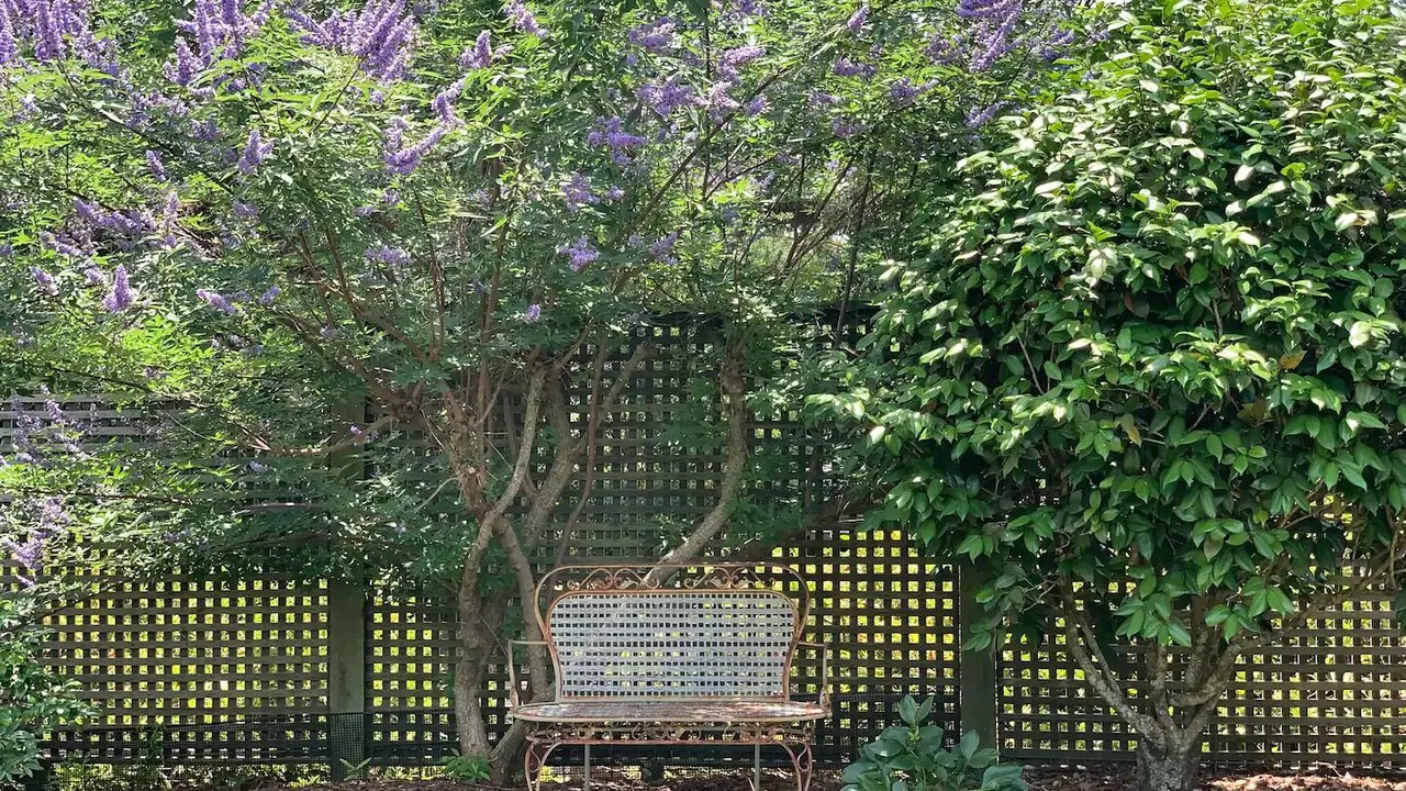 Photo of Outdoor in Laurel