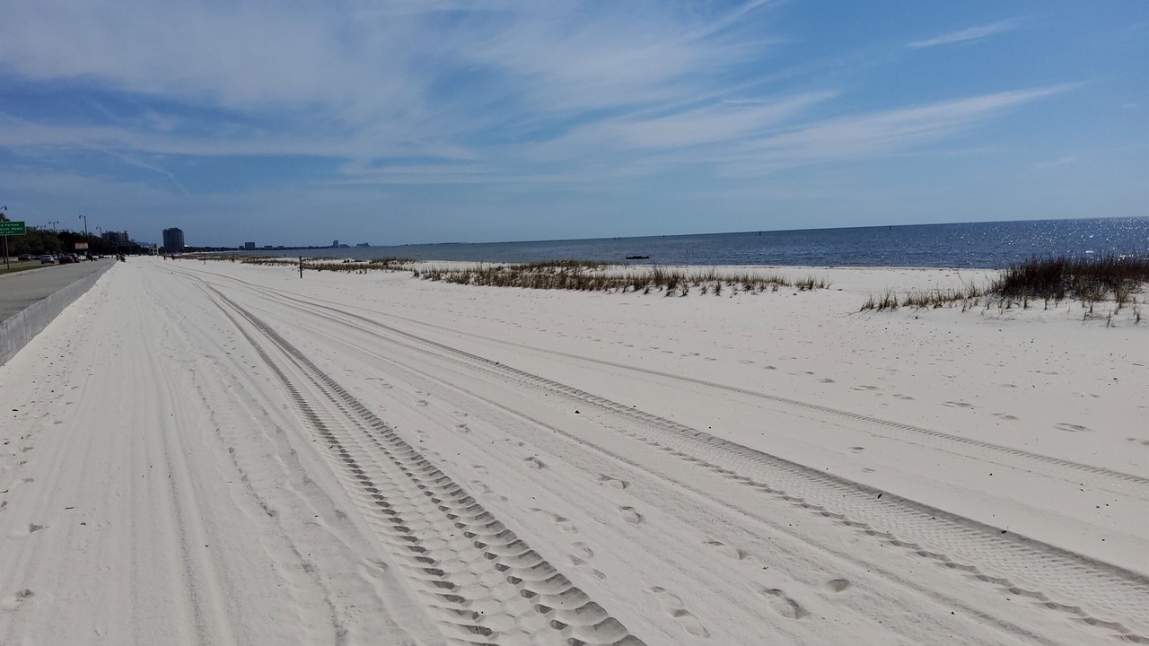 Photo of Others in Biloxi