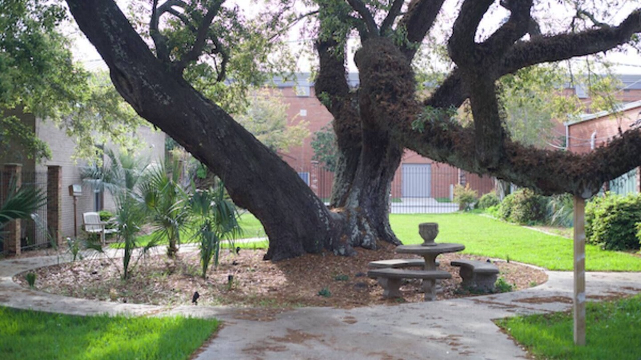 Photo of Outdoor in Pascagoula