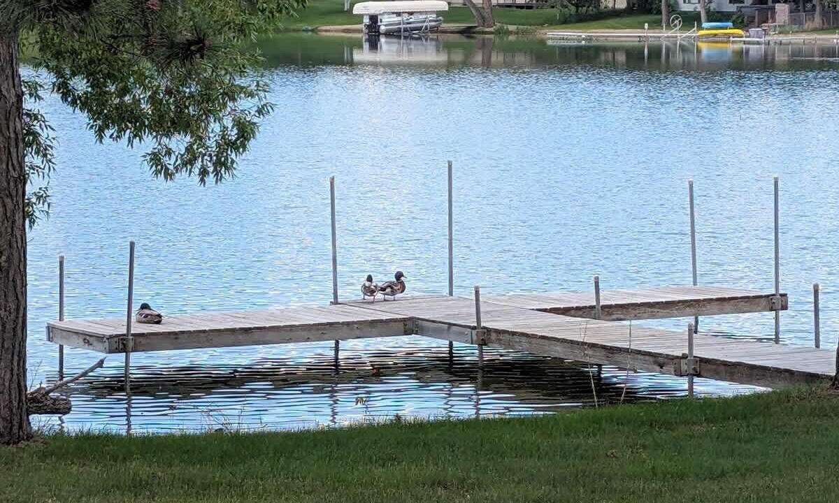 Photo of Others in Park Rapids