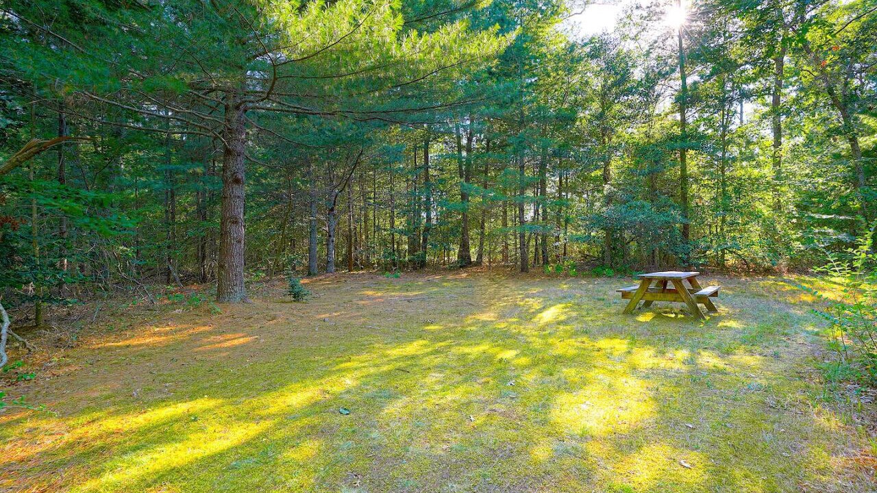 Photo of Others in Mashpee