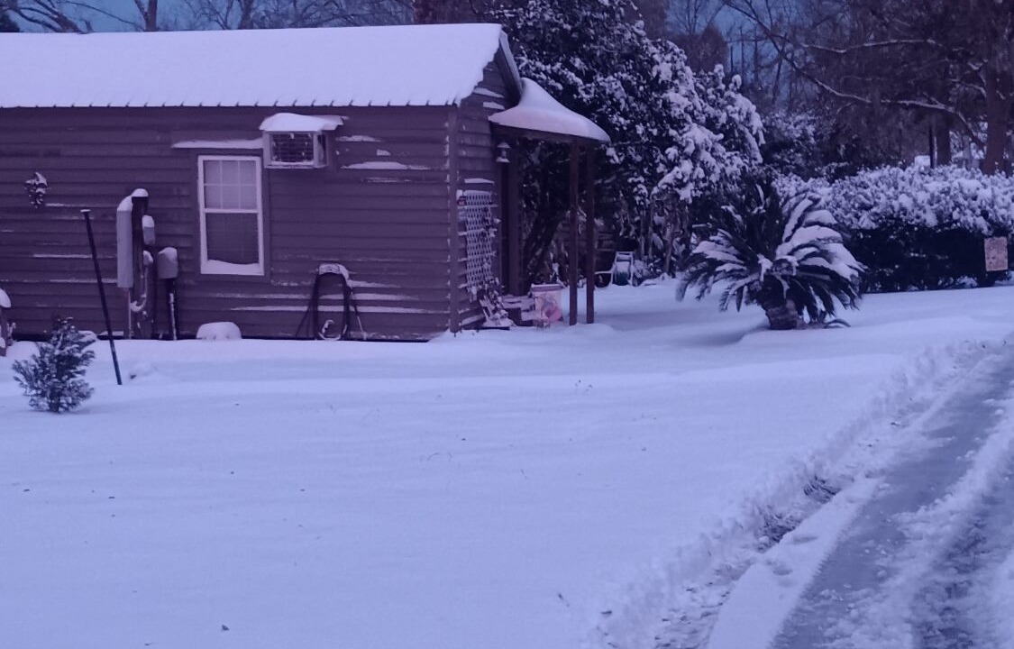 Photo of Outdoor in Maurepas