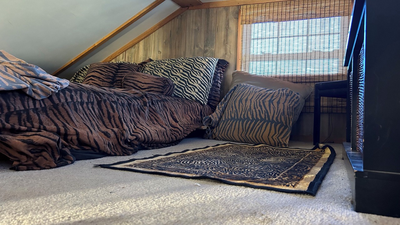 Photo of Bedroom in Maurepas