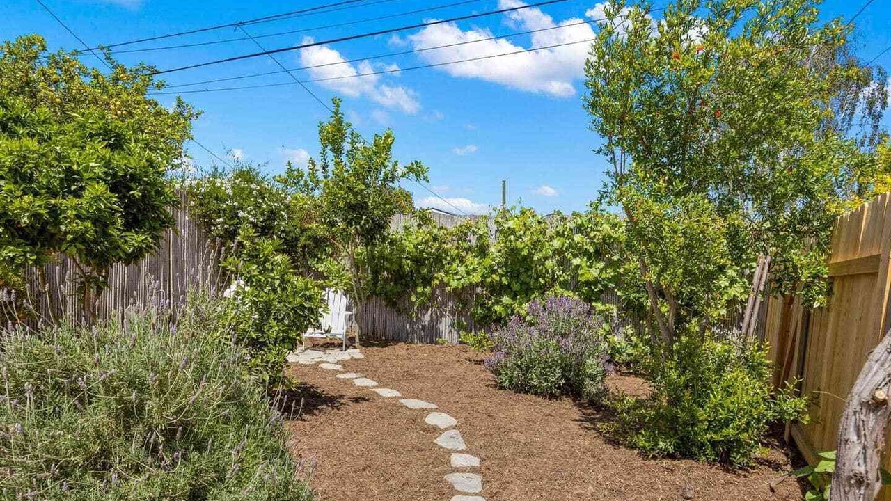 Photo of Outdoor in Ventura