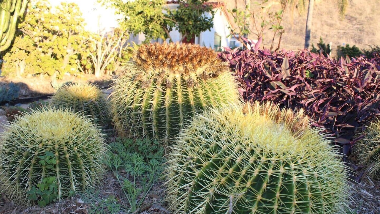Photo of Others in Ventura