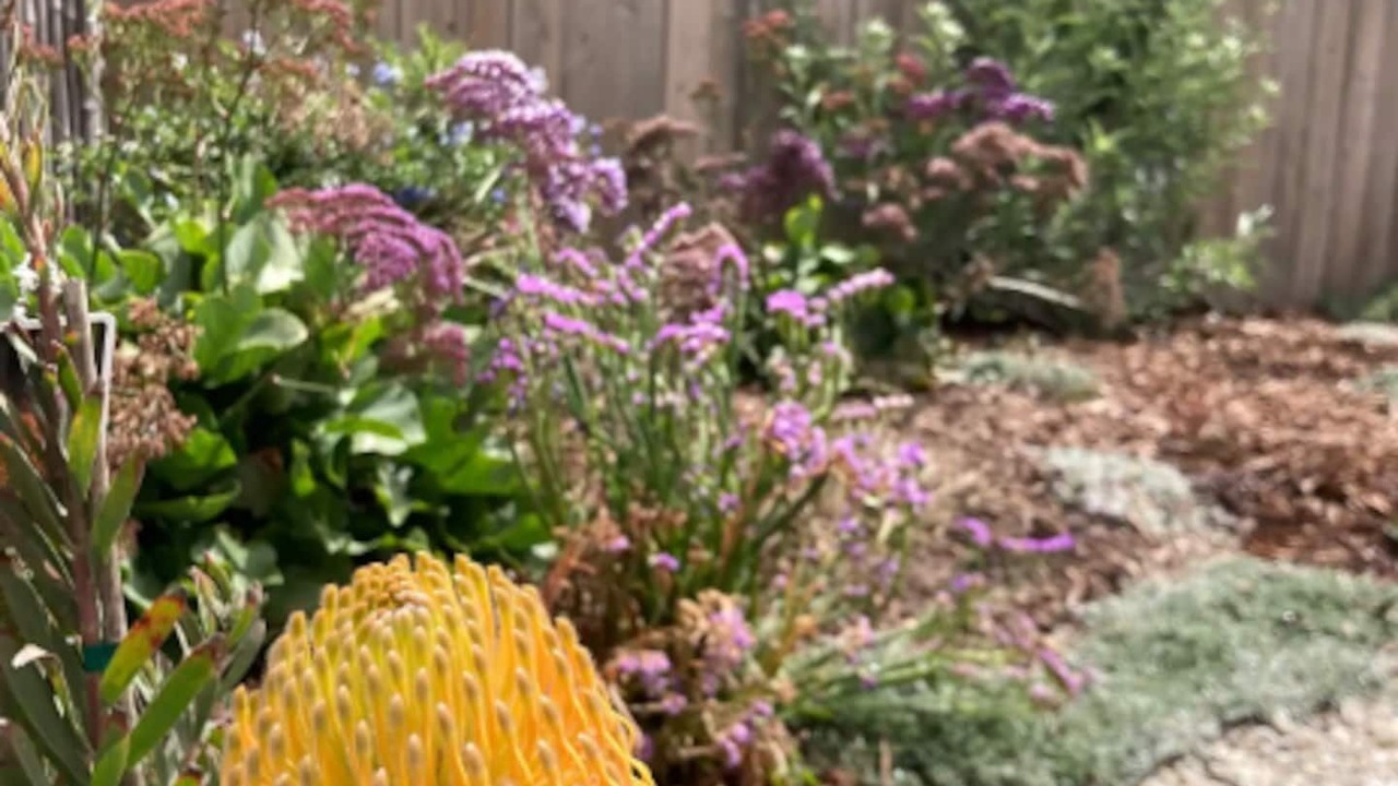 Photo of Outdoor in Ventura