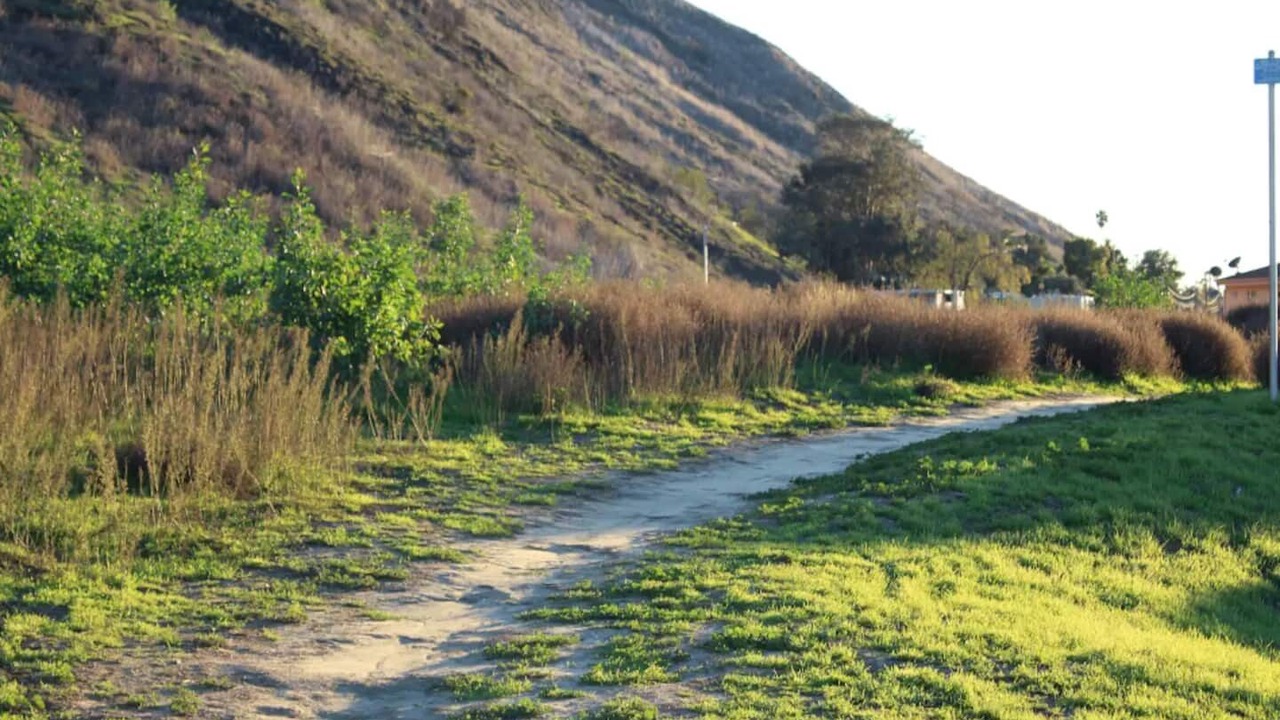 Photo of Others in Ventura