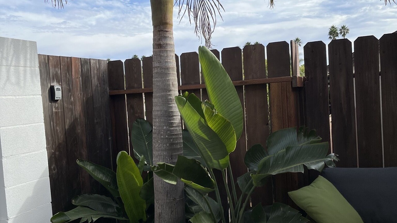 Photo of Outdoor in East Mesa
