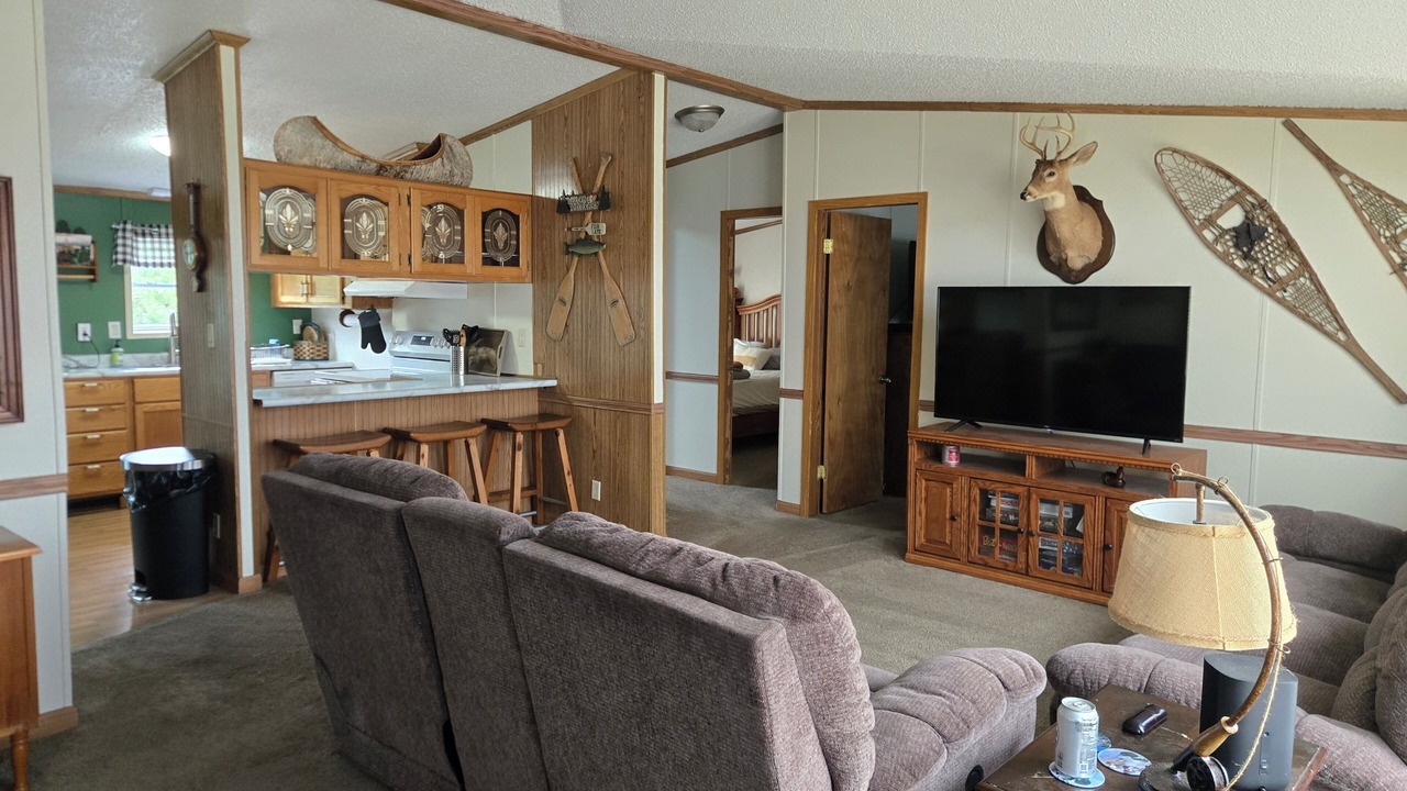 Photo of Livingroom in Bemidji