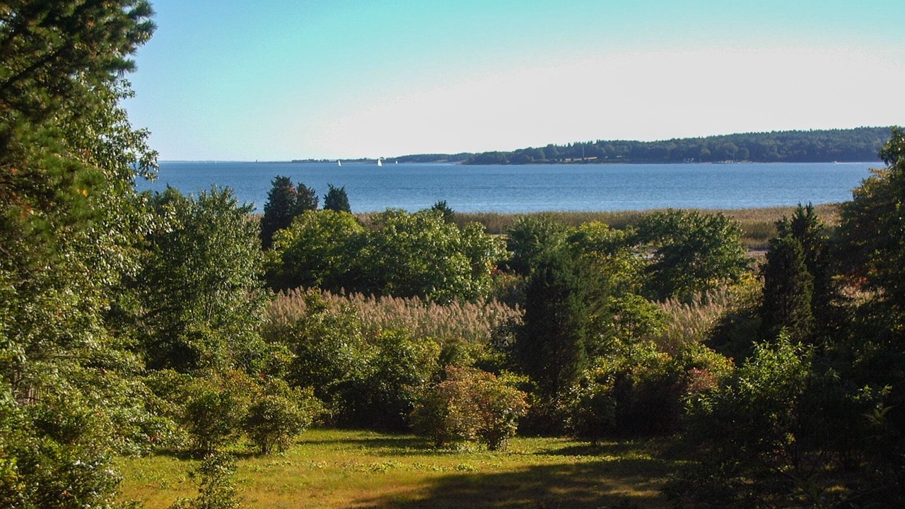 Photo of Others in Wareham