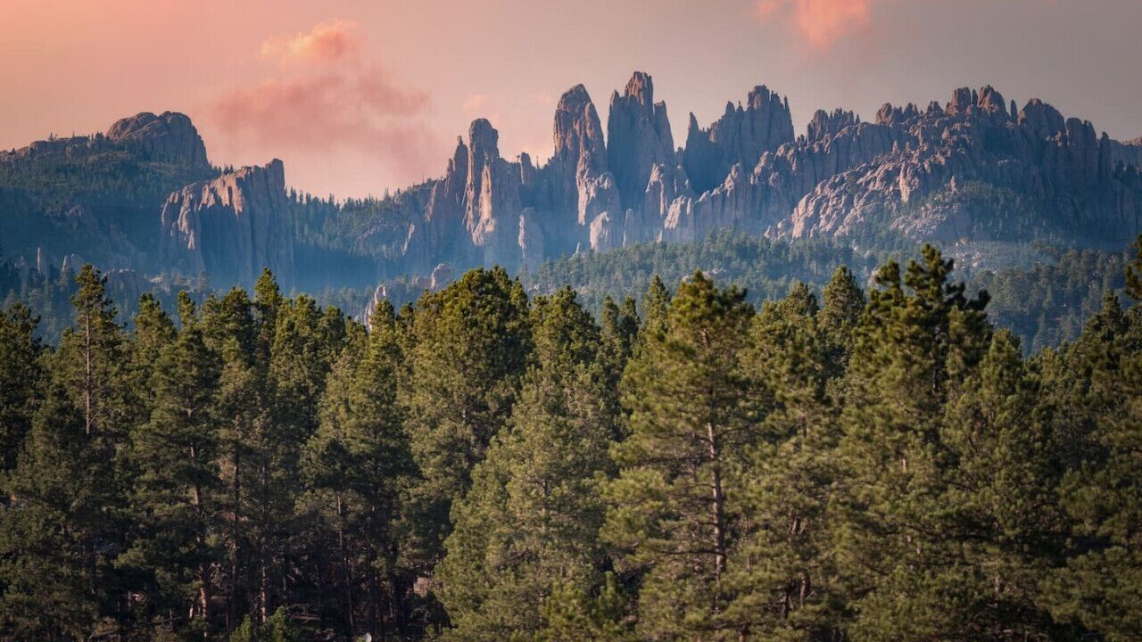 Photo of Others in Custer