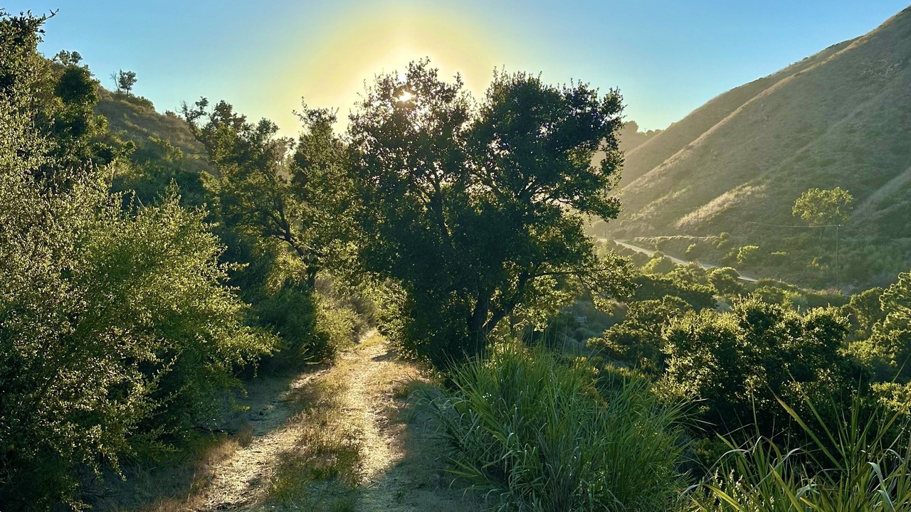 Photo of Outdoor in Central Malibu
