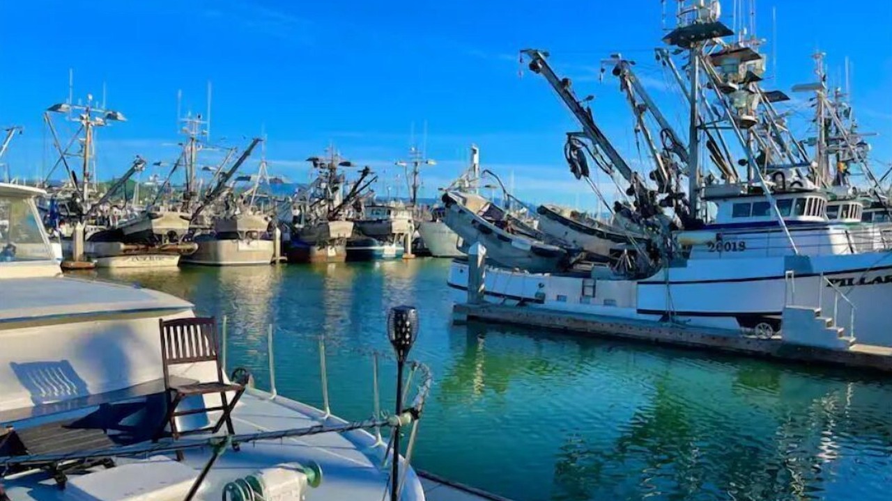 Photo of Others in Ventura
