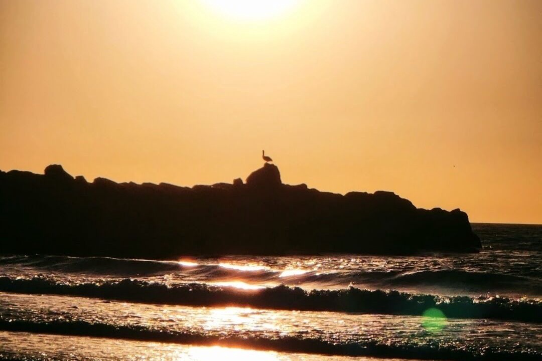 Photo of Others in South Redondo