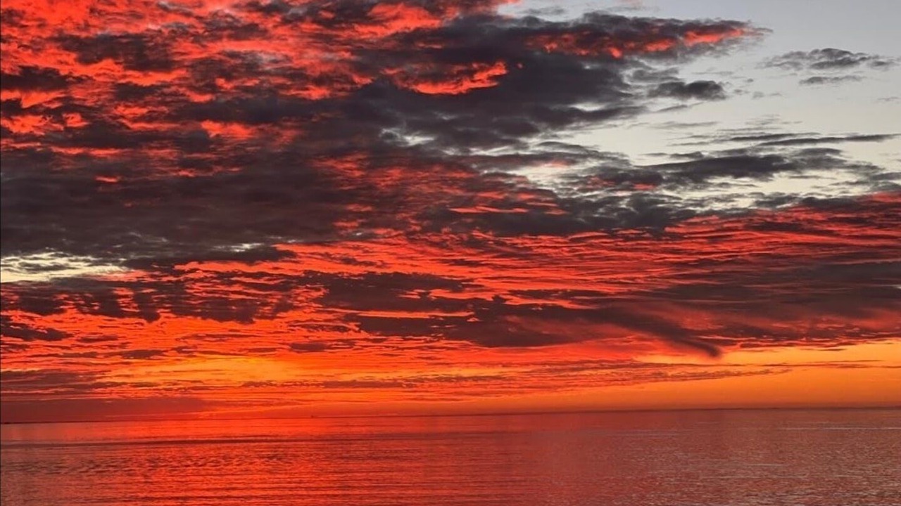 Photo of Others in South Redondo